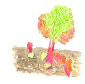 Fruit Garden