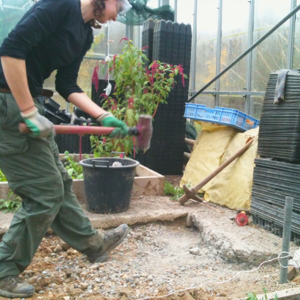 Kate giving the concrete some love with a sledgehammer, making way for a new raised bed #winteractivity