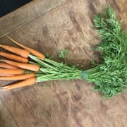 bunched carrots