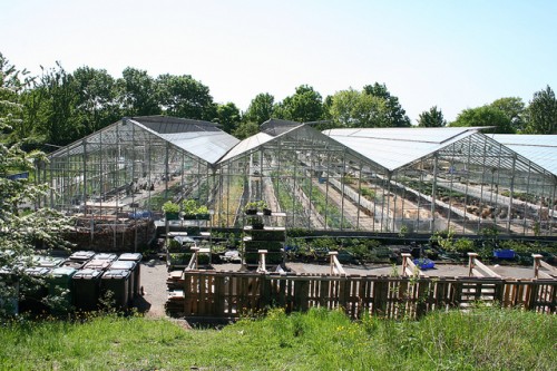 hawkwood site
