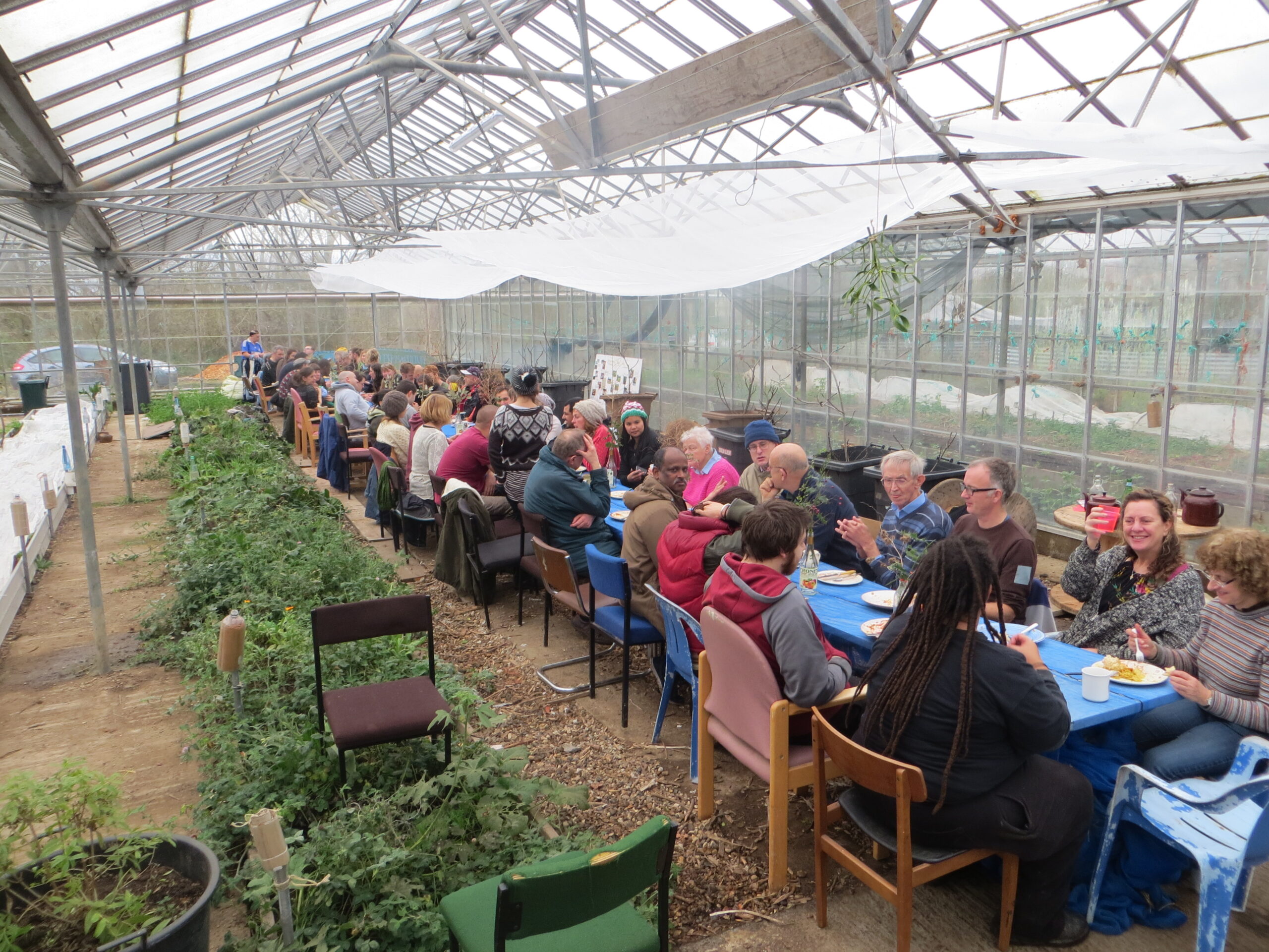 Eating in the glasshouse