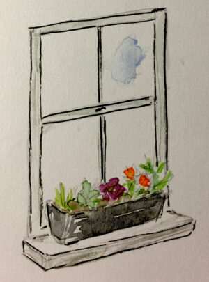 Window Box Collection