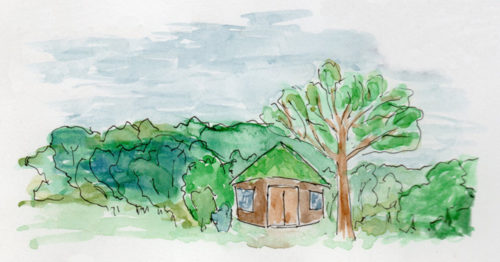 An illustration of our Woodland Classroom